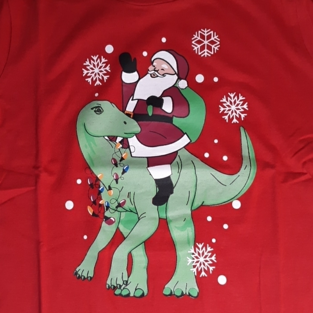 Christmas boys 4/6 Santa Dinosaur shirt
